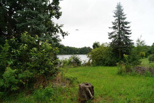 Grundstück - Grundstück in Mittenwalde / OT Schenkendorf-Krummensee zum Kaufen