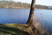 Ufer - 