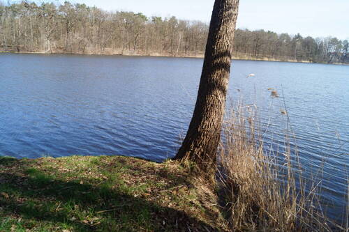 Ufer - 