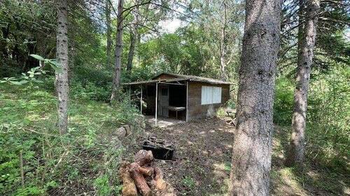 1 - Freizeitgrundstück an der Eisenberger Straße sucht neuen Eigentümer