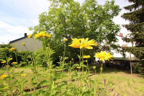 IMPRESSIONEN - WER WILL BAUEN ? ... IN MALCHEN ...