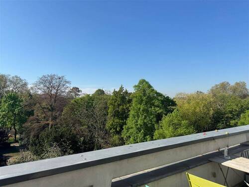 Mehrblick - 