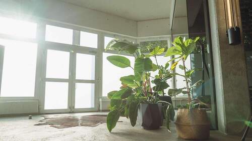 Eingangsbereich - Büro mit 288,00 m&sup2; in Berlin zur Miete