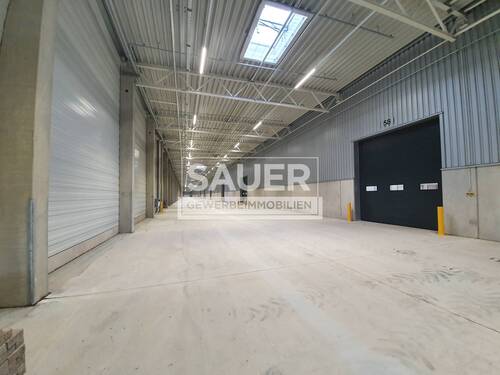 Ansicht ebenerdige Ladehalle - Halle in Berlin zur Miete
