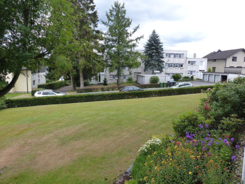Garten - 1 Zimmer Etagenwohnung zum Kaufen in Möhnesee