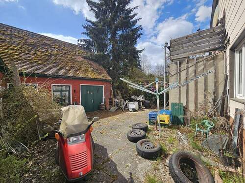 20250409_123030_(1024_x_768).jpg - 