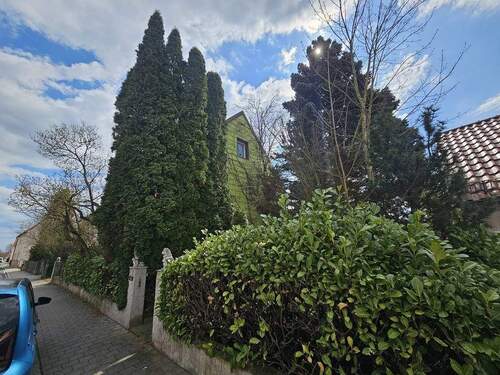 20250409_123004_(1024_x_768).jpg - 