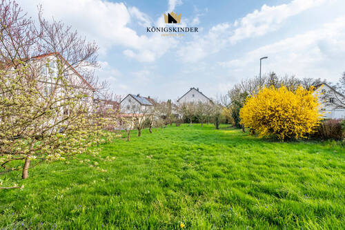 Garten bzw. Baugrundstück - 