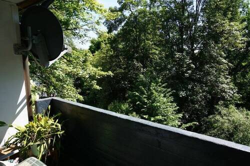 Blick ins Grüne 1 - 