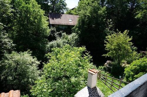 Blick ins Grüne 2 - 