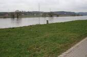 Elbwiese - 