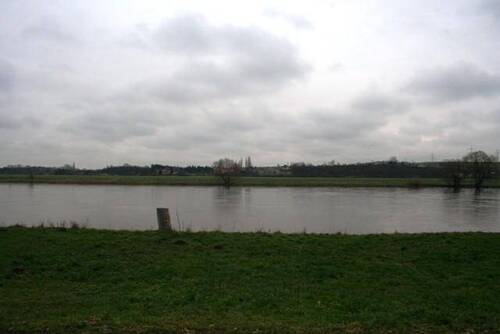 Blick über die Elbe - 