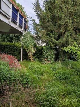 PXL 20250520 160221404 - 