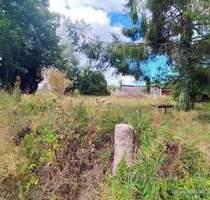 PROVISIONSFREI! Ehemaliges Bauernhaus sucht neue Familie. - Holzbach
