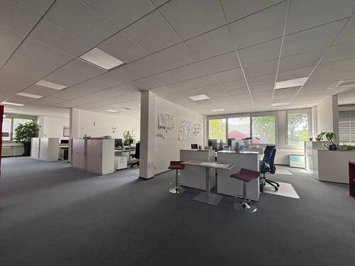 1 - 1 Zimmer Büro zur Miete in Berlin