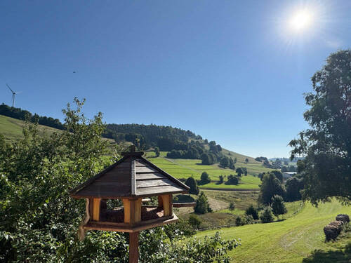 Ausblick Wohnzimmer - 7 Zimmer Einfamilienhaus in Schopfheim