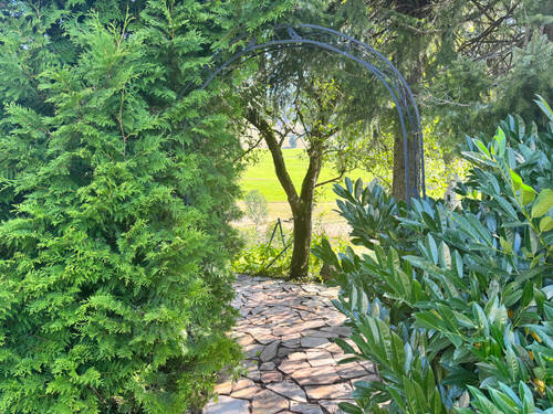 Gartenlaube - 