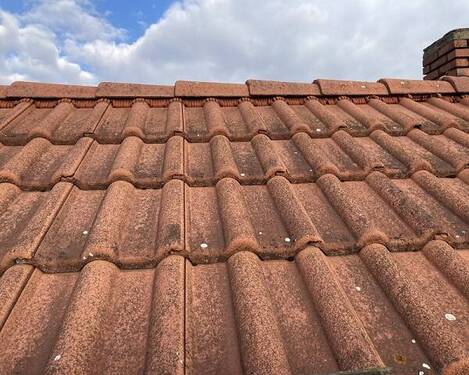 Ansicht 10 - 