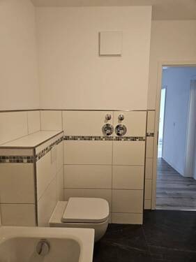 20241011_171019.jpg - 