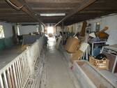 StallInnenansicht2.JPG - 