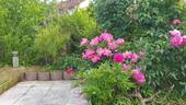 Garten - 