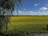 Ansicht Umgebung B.1 - 