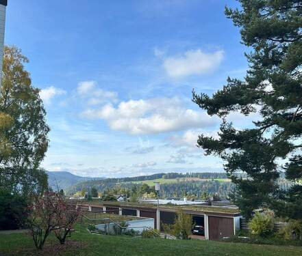 Blick vom Haus - 