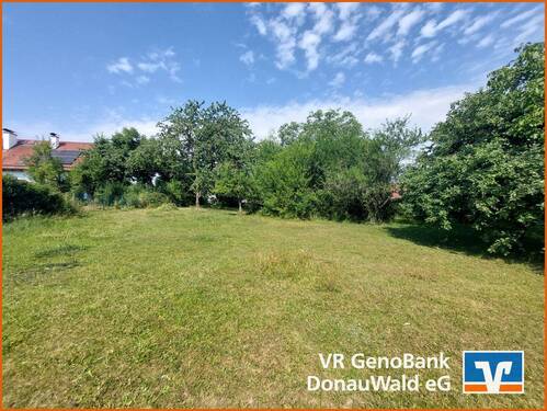 20250703_102057 - Interessant für Bauträger! Großzügige Grundstücksfläche mit zwei ausgewiesenen Bauparzellen in Mitterfels (ohne Bauzwang) und Anwesen in sehr gute