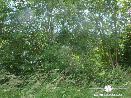 Frontansicht - Grundstück in Lützelbach / Seckmauern