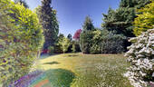 Bild11 - 