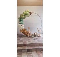 Toller Lagerraum, guter Schnitt - Breuberg Hainstadt