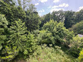 Bild21 - 