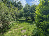 Bild7 - 