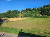 Ausblick - 