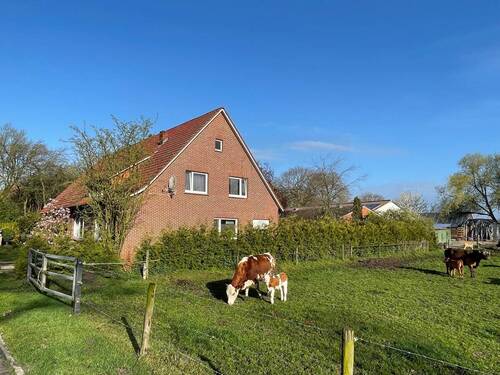 Ansicht mit Ställen - Bauernhaus, Landhaus mit 180,00 m² in Damme zum Kaufen