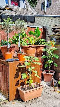 Garten 2 - 