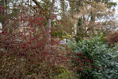 Garten - 5 Zimmer Doppelhaushälfte in Vaterstetten