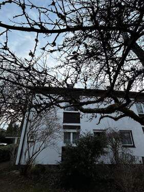 Haus vom vorderen Garten - 