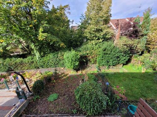 Blick in den Garten - 