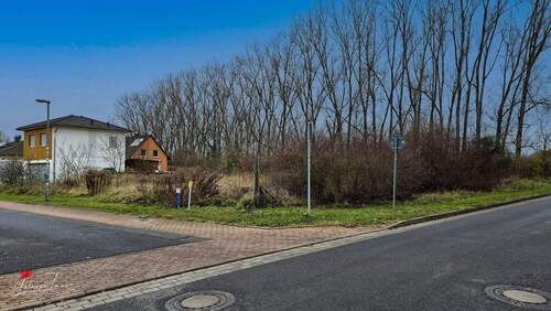 Baugrundstück - 