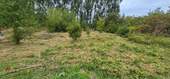 Grundstücksfoto_01 - 