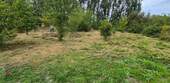 Grundstücksfoto_05 - 