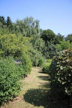 Nordsicht vom Nord-Balkon - 