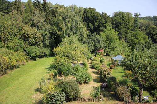 Blick auf den Garten vom Dach - 
