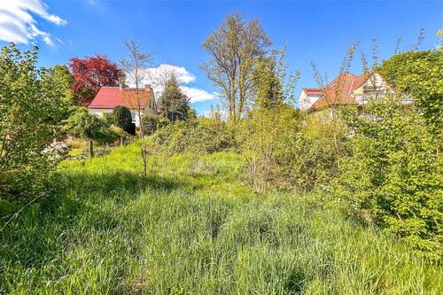 IMG_3232 - Grundstück in Zwickau zum Kaufen