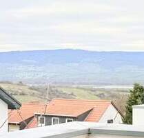 Moderne 3-Zimmer-Wohnung mit Einbauküche und großer Terrasse mit Blick in den Rheingau - Ingelheim-Wackernheim