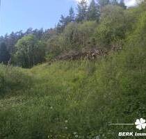 BERK Immobilien - Naturnahes sonniges Baugrundstück - Platz für zwei Wohnhäuser in RippbergWalldürn - Walldürn / Rippberg