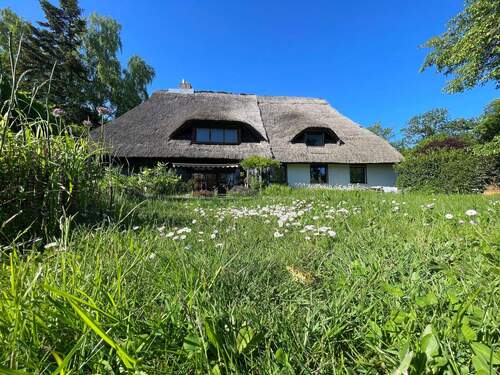 Sicht aus dem Garten - 