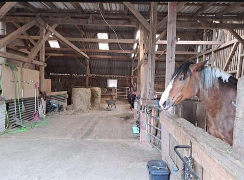 07_Stallbereich.jpg - 