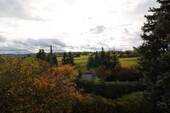 Ausblick - 